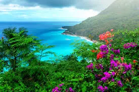 Still don't know where to celebrate this New Year?: Here are some options