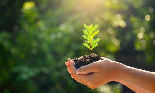 ONU: Invertir en medioambiente puede evitar millones de muertes