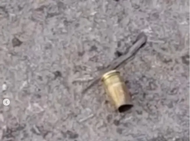 Joven es abatido a tiros tras supuestamente asaltar una estación de combustible en Santiago