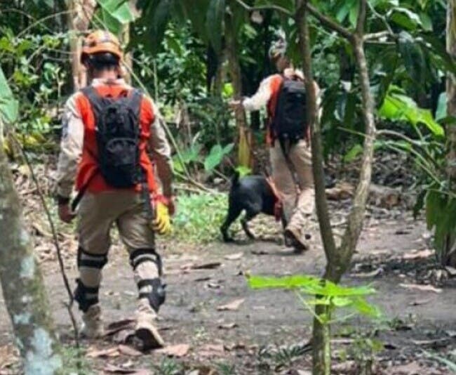 El callejón sin salida del caso de la desaparición de la niña Brianna Genao, pese a colaboración del FBI