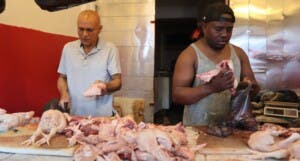 El pollo, caro y escaso