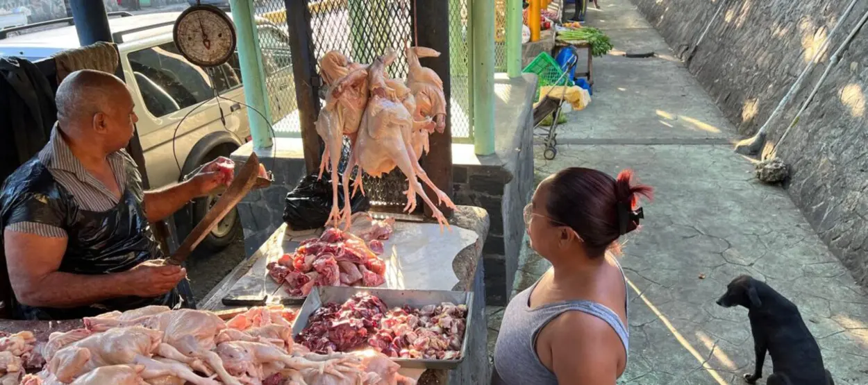 Alza sostenida del pollo