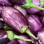 El inesperado poder de la berenjena: descubre como sus semillas ayudan contra cáncer de colon