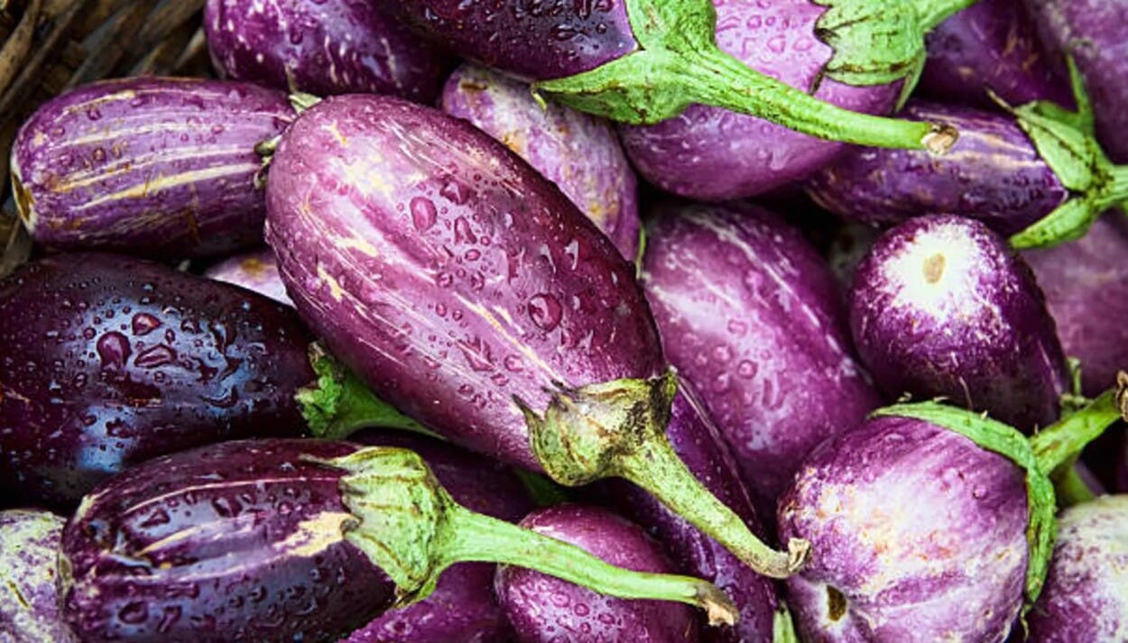 El inesperado poder de la berenjena: descubre como sus semillas ayudan contra cáncer colon