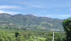 Tribunal impone multa de RD$60 millones a empresa agroforestal por daños ambientales