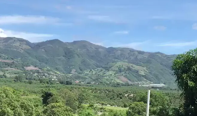 Tribunal impone multa de RD$60 millones a empresa agroforestal por daños ambientales