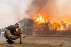 Emergencia en Chile: al memos 15 muertos por devastadores incendios forestales