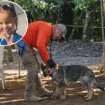 Continúa la búsqueda de Brianna Genao; las autoridades amplían el perímetro con apoyo del FBI