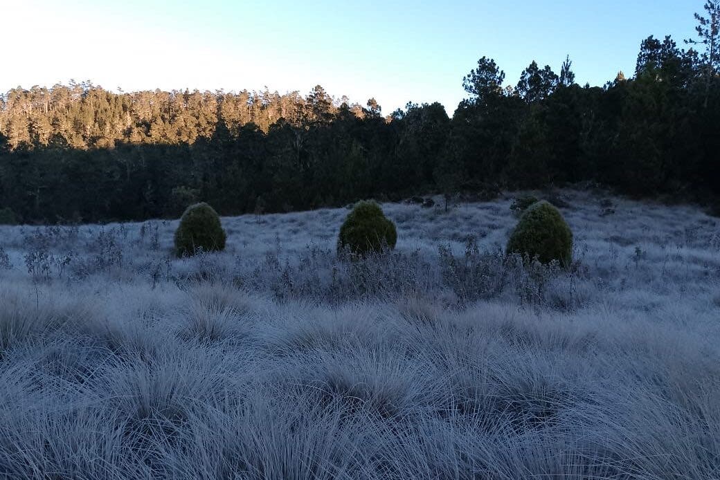 Constanza: temperaturas gélidas alcanzan -1°C en el Cibao