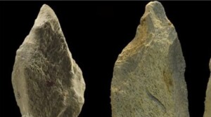 Hallan la herramienta de hueso de elefante más antigua de Europa, de hace 480.000 años