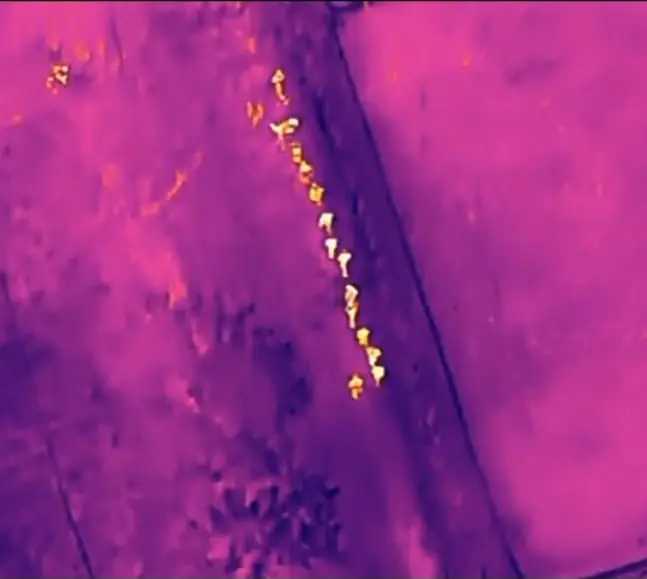 Ejército localiza con drones 16 haitianos indocumentados en una vivienda en construcción en Dajabón