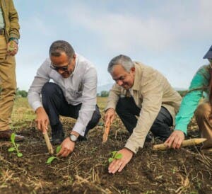 La alianza ISA-Intabaco impulsa el futuro del cultivo del tabaco