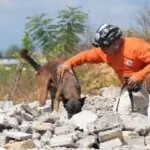 Insisten en crear organismo para rescate de personas desaparecidas