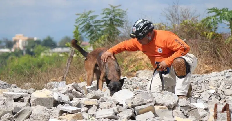 Insisten en creación de organismo para rescate de personas desaparecidas