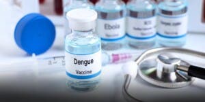 Brasil lanza un plan piloto de inmunización contra el dengue con una vacuna nacional