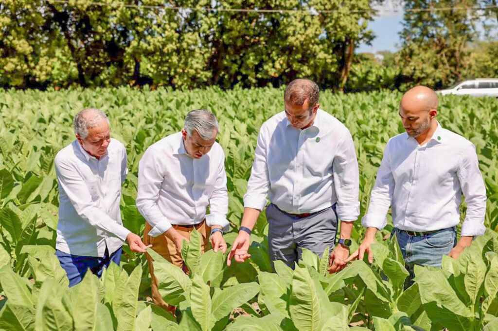 Exportaciones de tabaco dominicano superan los US$1,300 millones en 2025