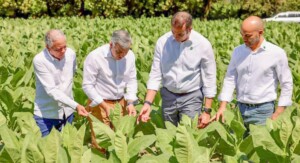 Tabaco de República Dominicana se exportó a 142 países en 2025