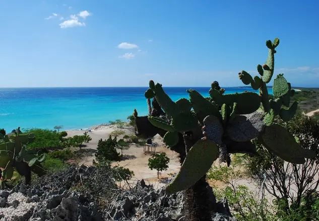 Rechazo generalizado ante la decisión del TSA sobre el Parque Nacional Jaragua