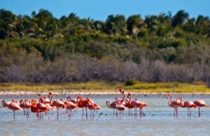 Medio Ambiente recurre ante el TC sentencia que reduce áreas protegidas del Parque Jaragua
