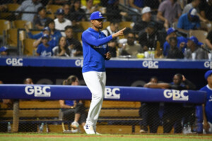 Tigres del Licey confía en mutual Gibert Gómez y Wllington Cepeda