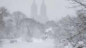 Cancelan hoy otros 51 vuelos desde y hacia Estados Unidos