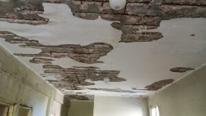 Edificio de oficinas públicas en Pedernales se cae a pedazos y pone vidas en riesgo