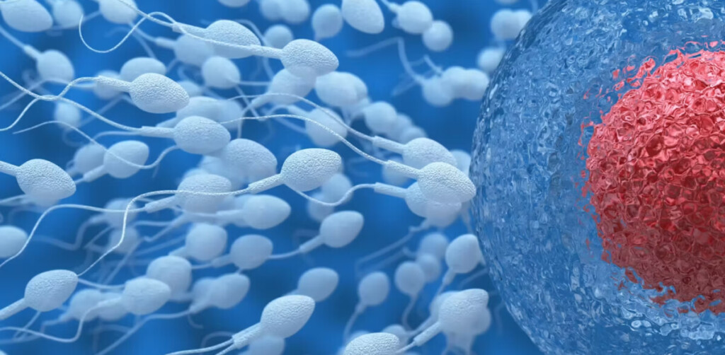 La tecnología empleada en el estudio fue la de un tipo de secuenciación “innovadora”, lo que permitió medir, en muestras de plasma sanguíneo, los anticuerpos dirigidos contra más de 90.000 fragmentos de proteínas virales responsables de numerosas infecciones (gripe, infecciones respiratorias, gastroenteritis, herpes, etc.). 