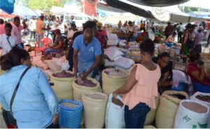 Elías Piña: provincia con la menor cantidad de trabajadores formales del país