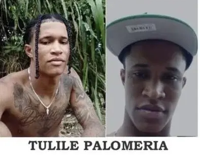 DICRIM abate a ‘Tulile Palomería’ en operativo en Los Frailes