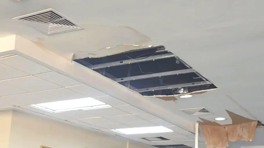 Denuncian grave deterioro de Biblioteca Pedro Mir de la UASD