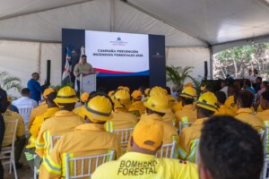 Medio Ambiente refuerza la vigilancia forestal para 2026: San Juan como epicentro de prevención