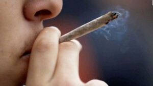 Consumir cannabis en la adolescencia duplica el riesgo de psicosis y bipolaridad, revela estudio