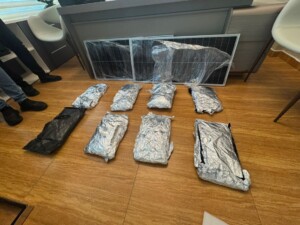 Descubren marihuana oculta en paneles solares en Santiago