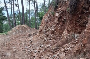 Senador Antonio Marte y campesinos denuncian tala de árboles en Villas Los Almácigos