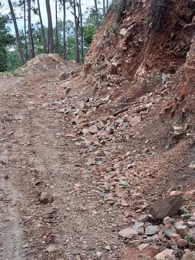 Senador Antonio Marte y campesinos denuncian tala de árboles en Villas Los Almácigos