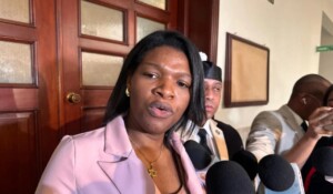 Aplazan para el 9 de marzo nuevo juicio contra Elizabeth Silverio por falsificación de títulos