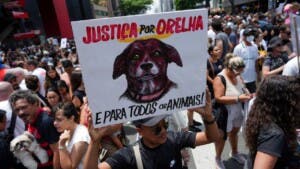 Asesinato a perrito comunitario Orelha desata protestas en Brasil