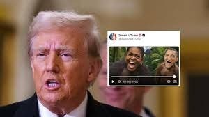 Cuenta de Trump en Truth Social retira el video en el que los Obama aparecen como simios