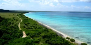 Academia Ciencias y UASD califica de sospechosa sentencia del TSA sobre Parque Nacional Jaragua