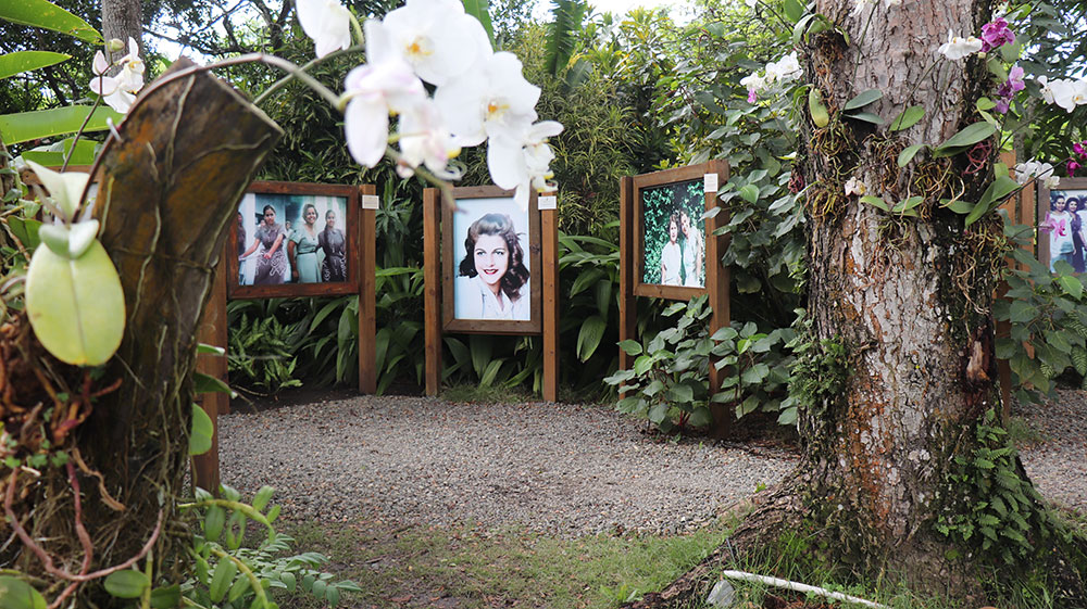 100 años de Minerva Mirabal: su lucha sigue inspirando al mundo