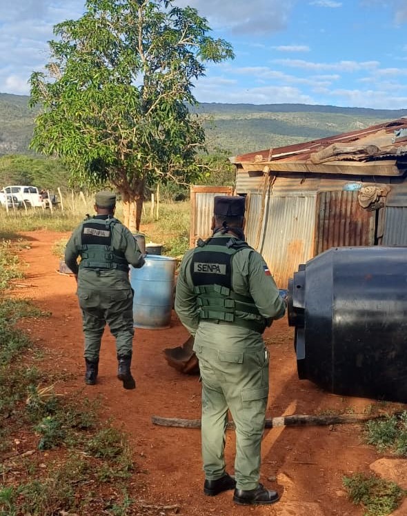 Detienen 21 haitianos por tala y conuquismo en el Parque Nacional Sierra de Bahoruco
