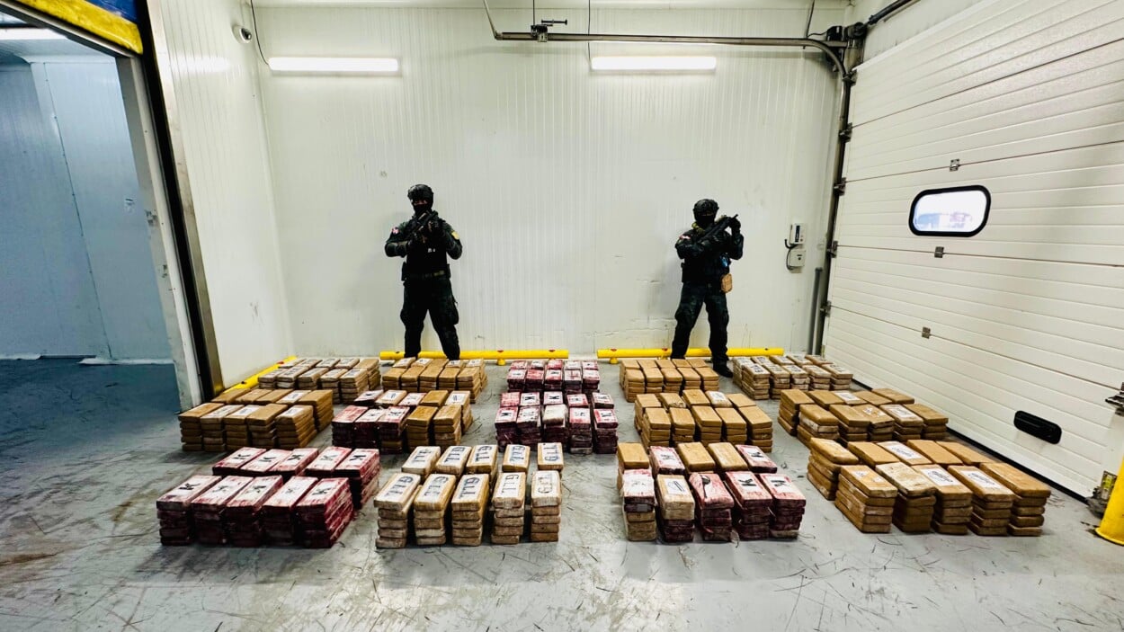 DNCD incauta 700 paquetes de cocaína en contenedor de uvas en el puerto Caucedo