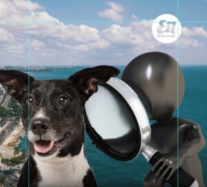 Rescate heroico: Policía salva a perrito que cayó al mar en el Malecón de Santo Domingo