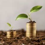 Fondos de inversión dominicanos crecen 32% y alcanzan RD$446 mil millones