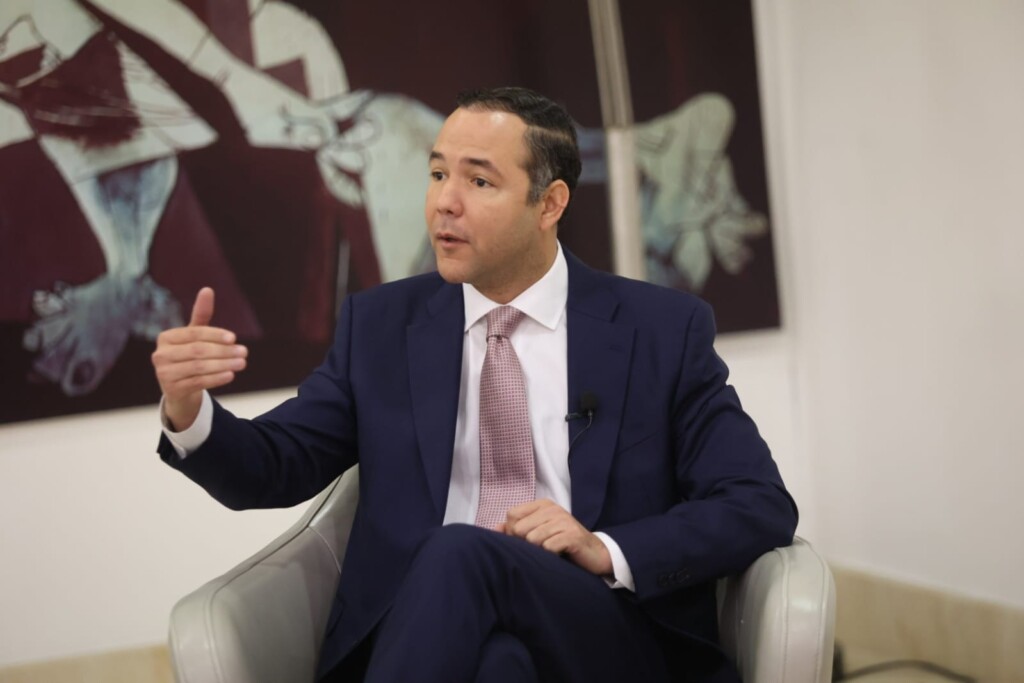 PLD afirma que no será “organización auxiliar” de nadie y presentará candidato propio