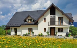 ¡Convierte tu patio o sótano en una mini casa! El alcalde de NYC lanza herramientas para propietarios