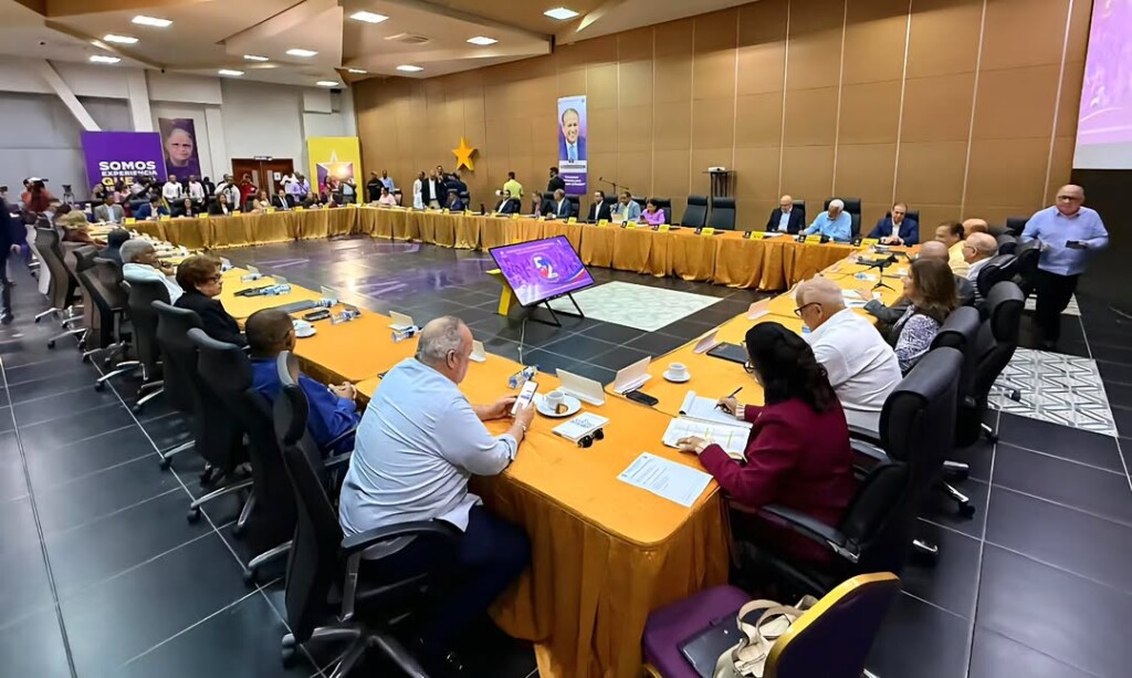 PLD fija para el 18 de octubre consulta para escoger aspirante presidencial