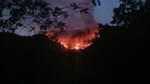 Sur Futuro ofrece ayuda a brigadas control de incendio cordillera Central
