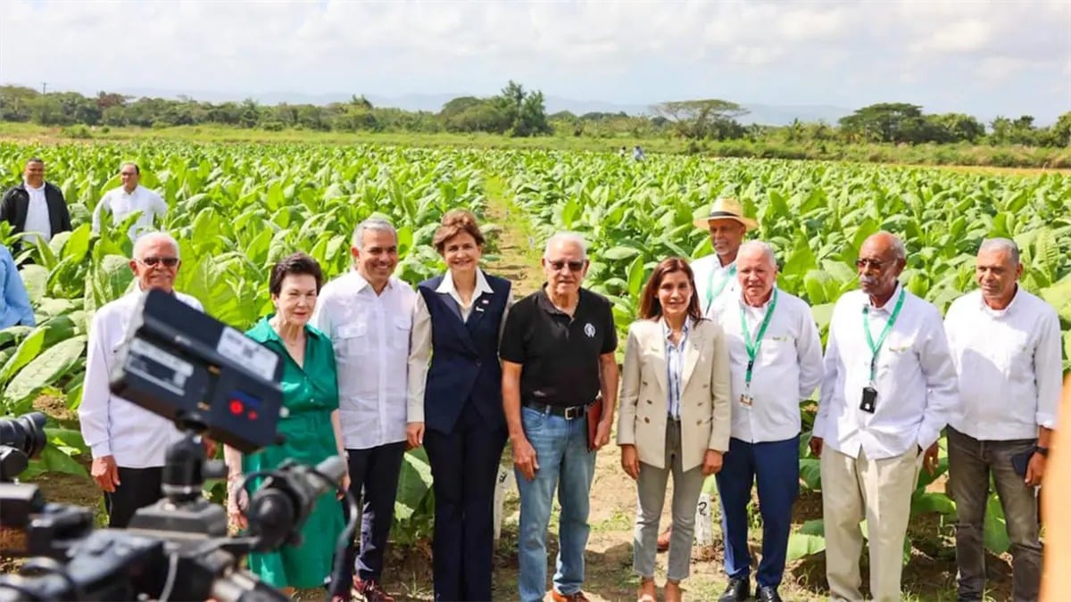 Peña resalta impacto del tabaco dominicano, que supera los US$1,300 millones en exportaciones