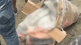 Policía investiga hallazgo de mujer muerta dentro de una caja en San Cristóbal